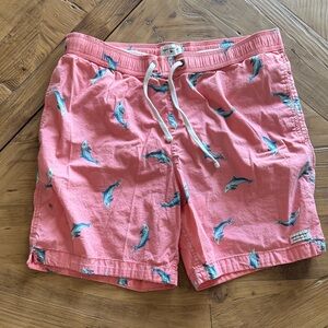 Modern Amusement Pink Swim Shorts